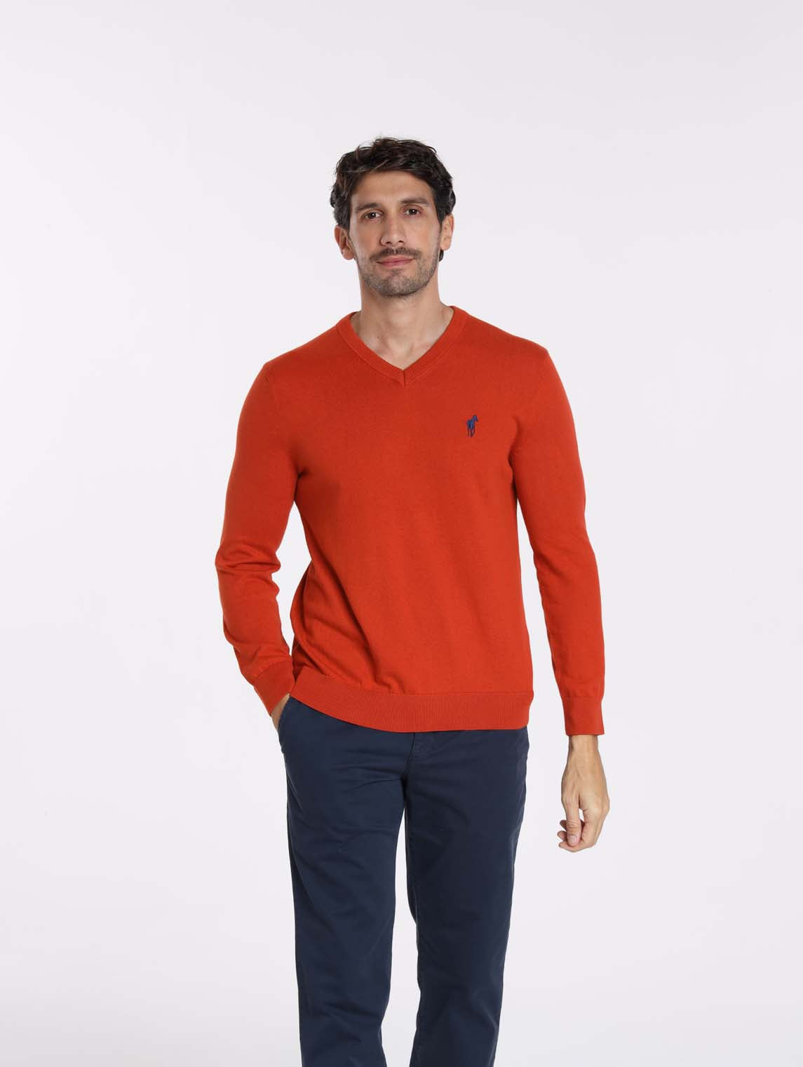 Pull PITT Orange