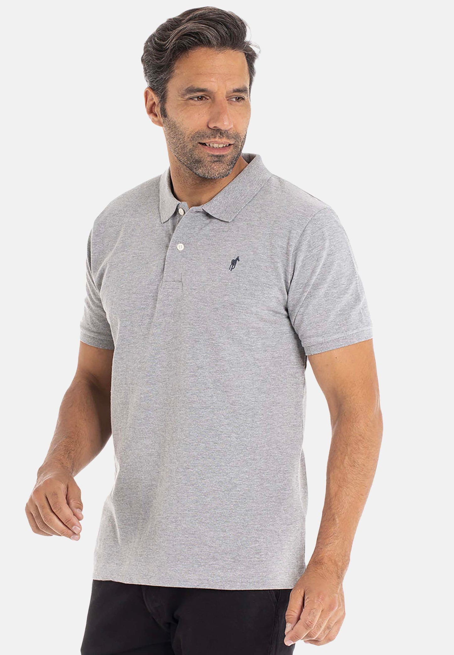 Polo OGIER Gris clair