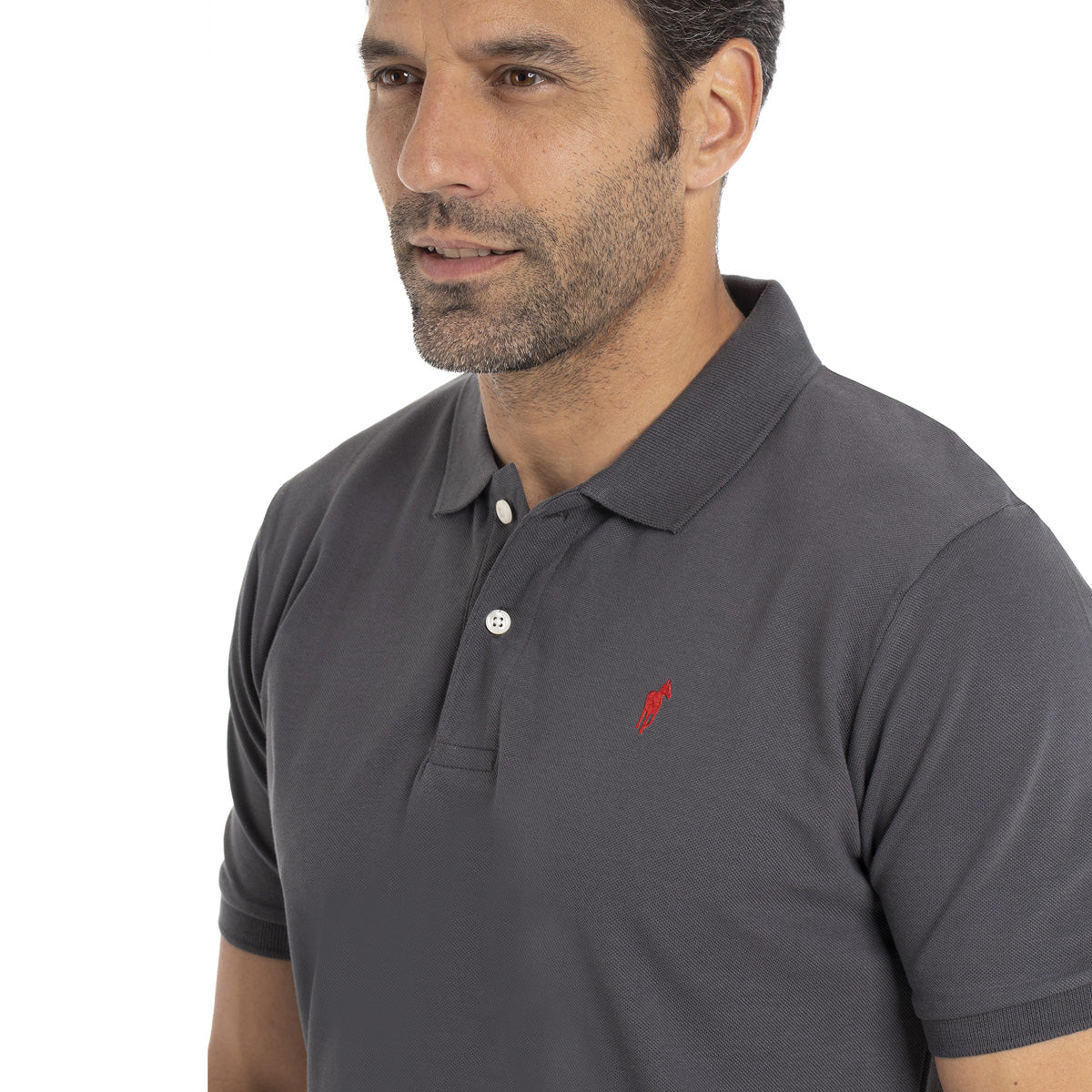 Polo OGIER Gris foncé