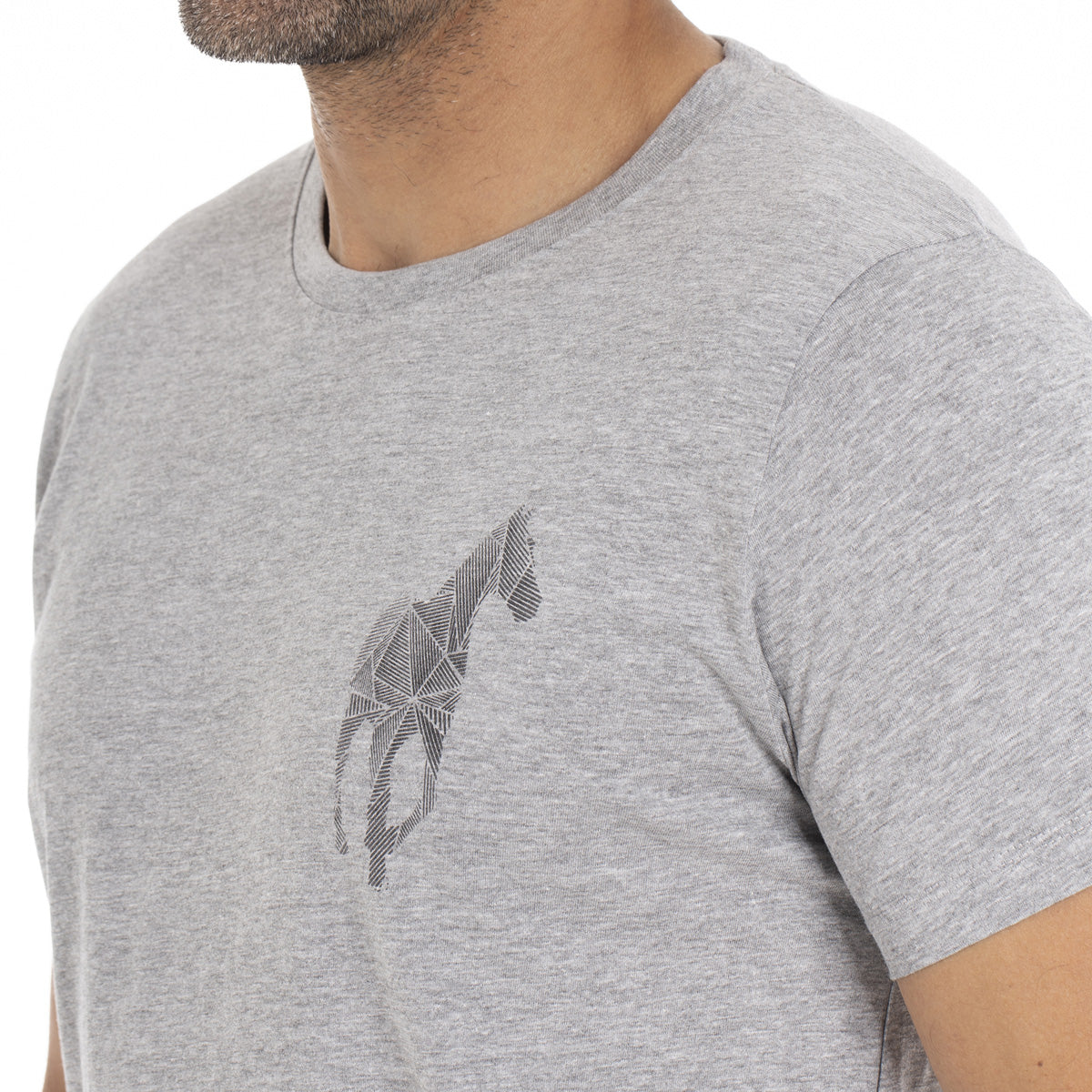 T-shirt TAHO Gris clair