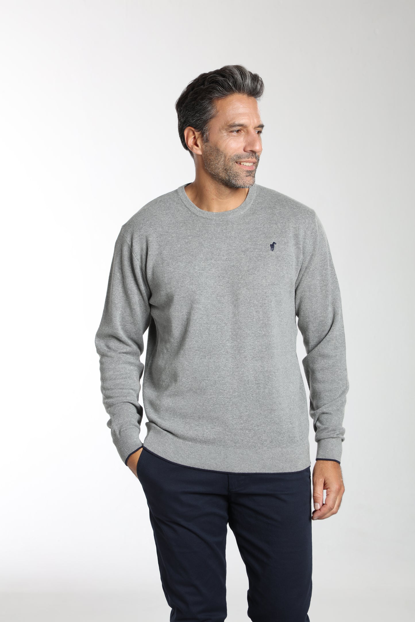 Pull MILANO RDC gris