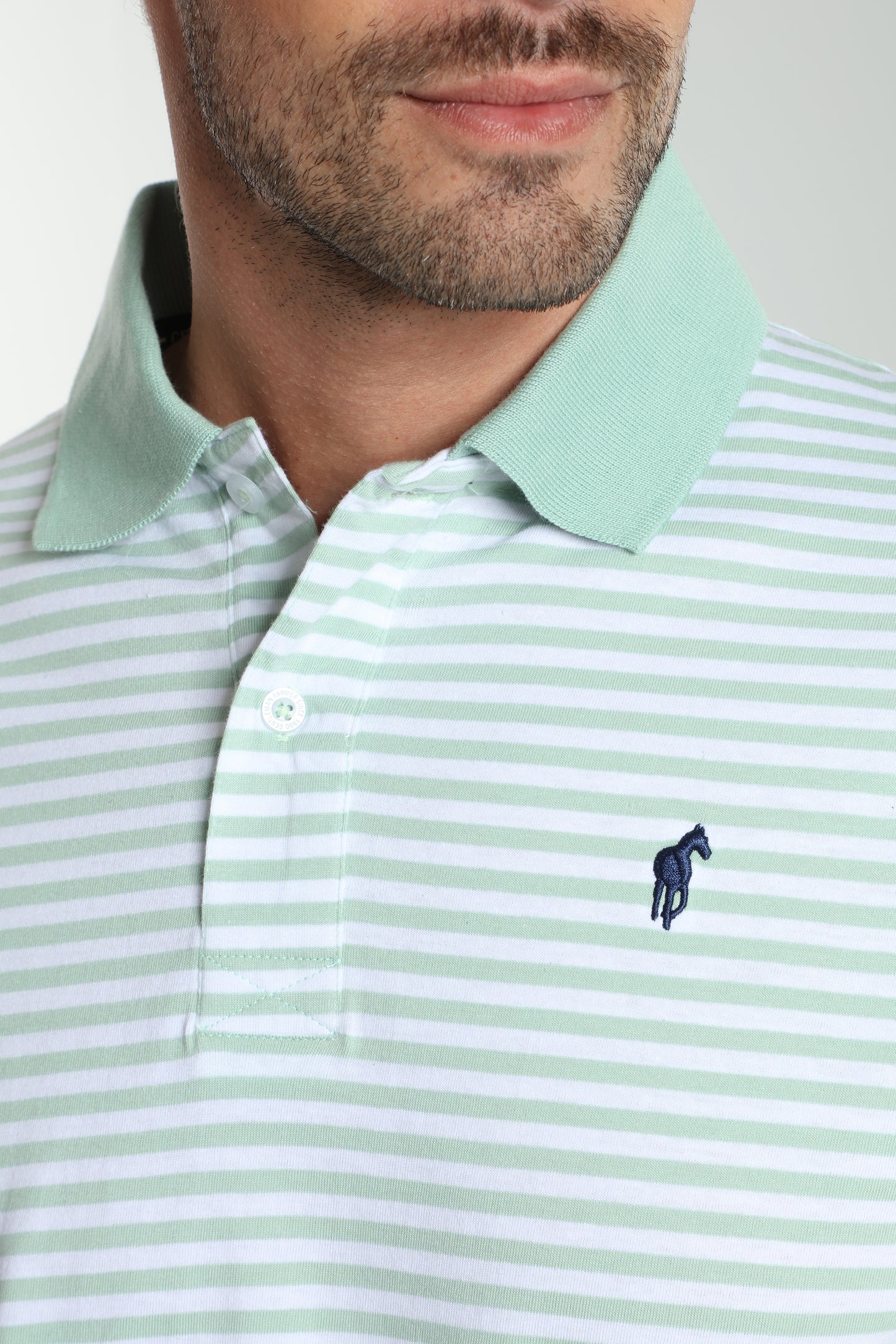 Polo manches courtes PAWL céladon
