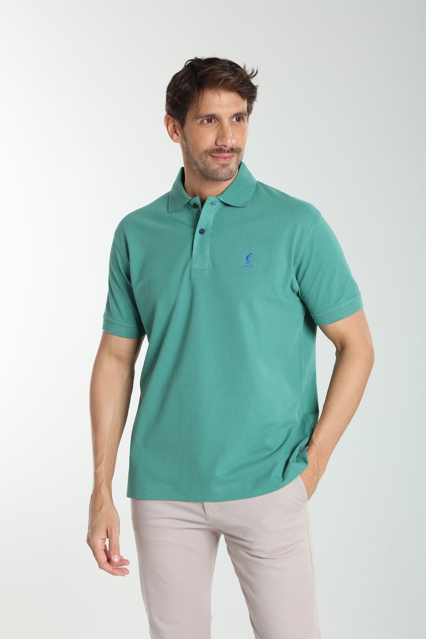 Polo manches courtes PAUL vert