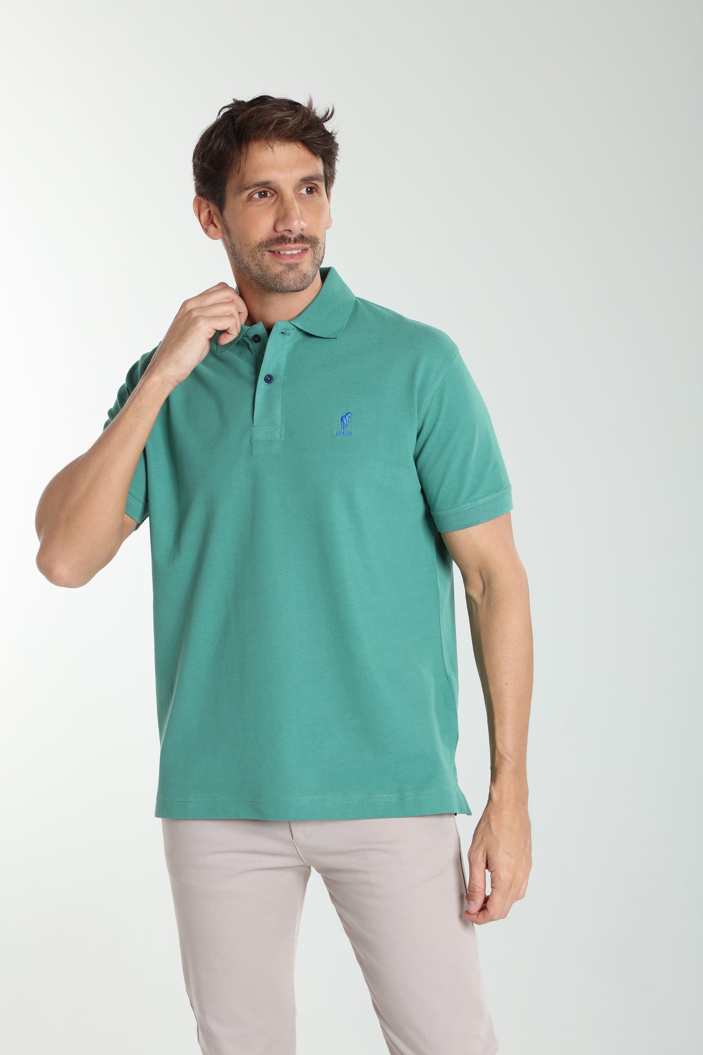 Polo manches courtes PAUL vert