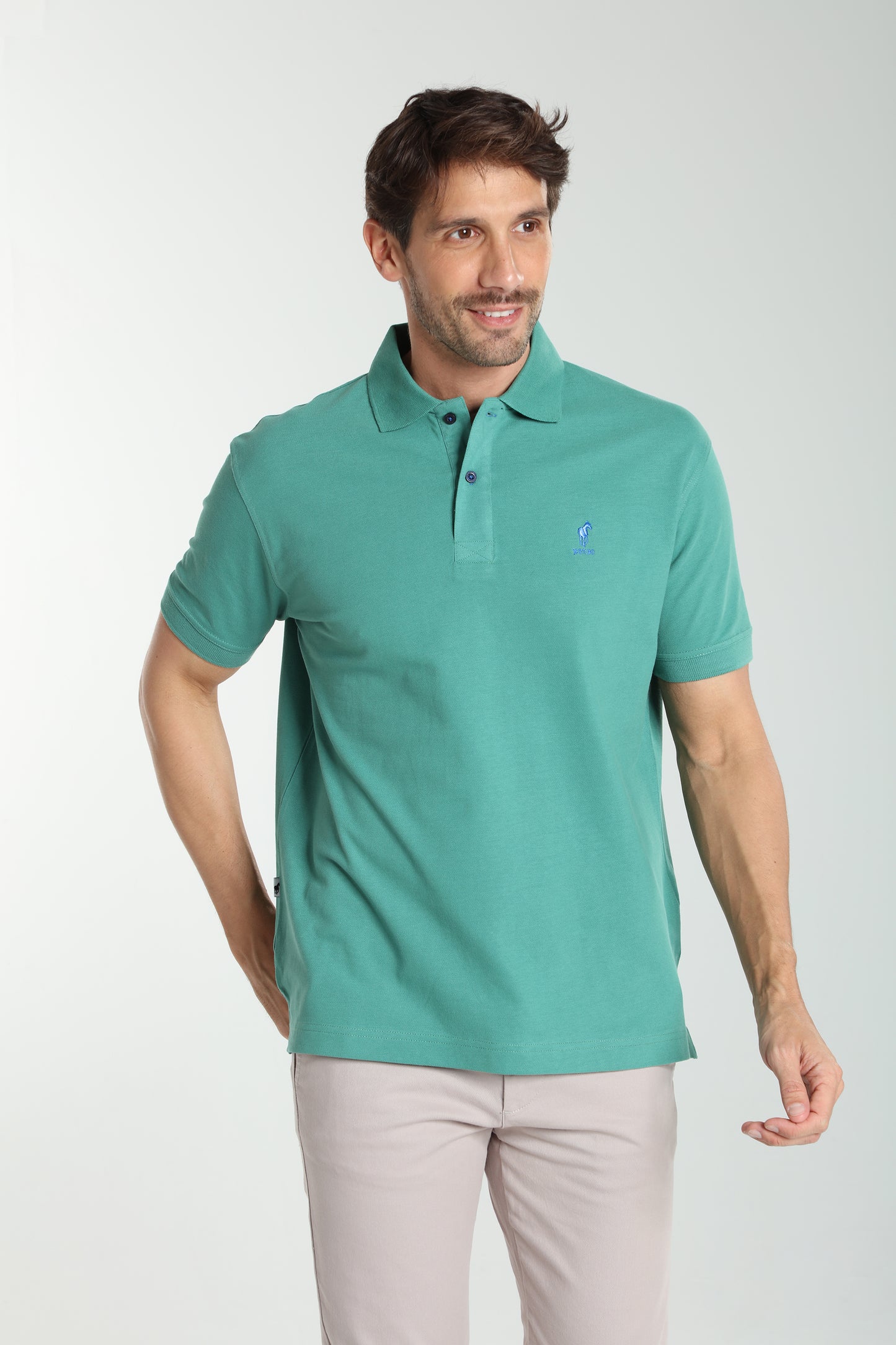 Polo manches courtes PAUL vert