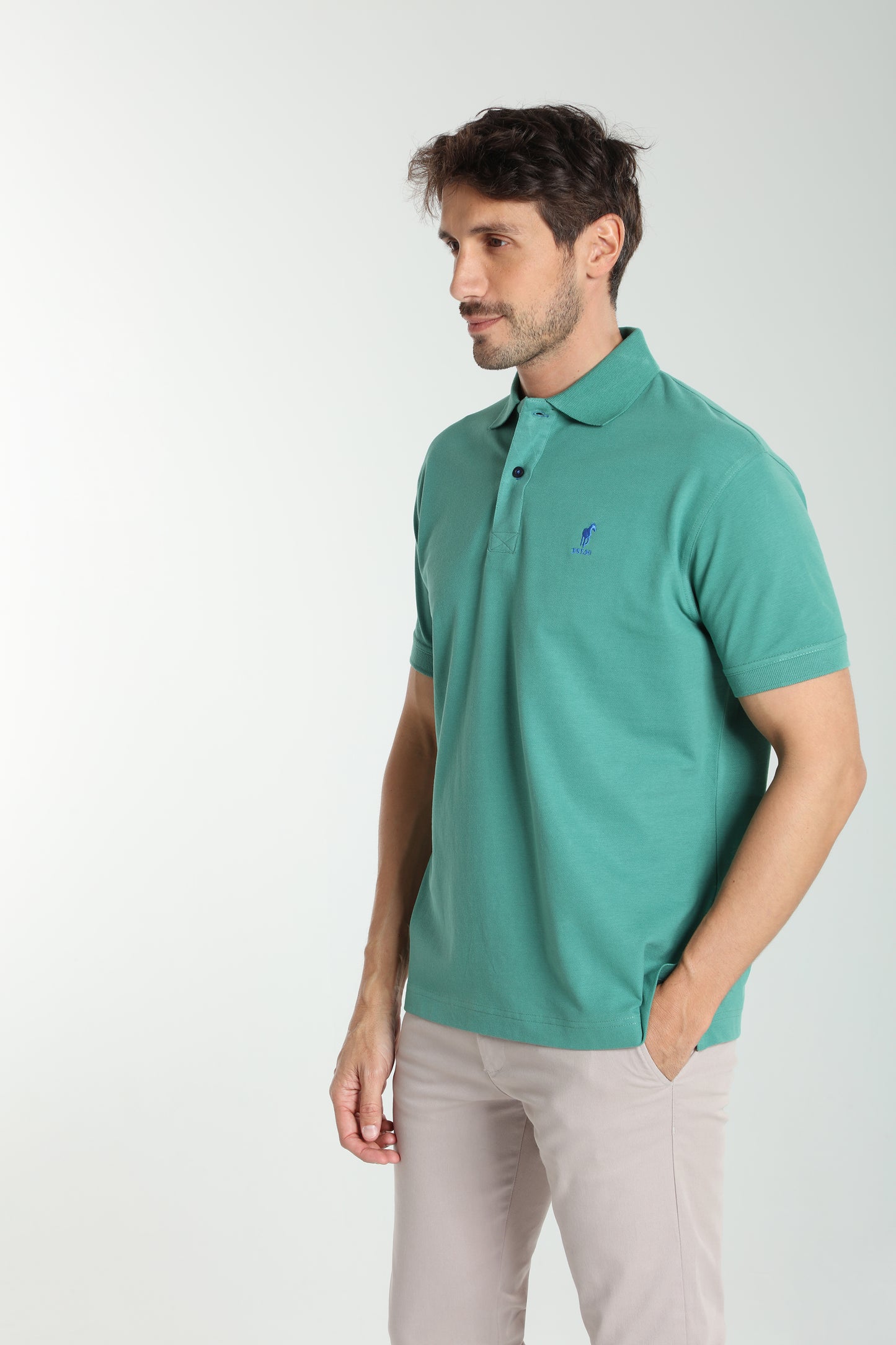 Polo manches courtes PAUL vert