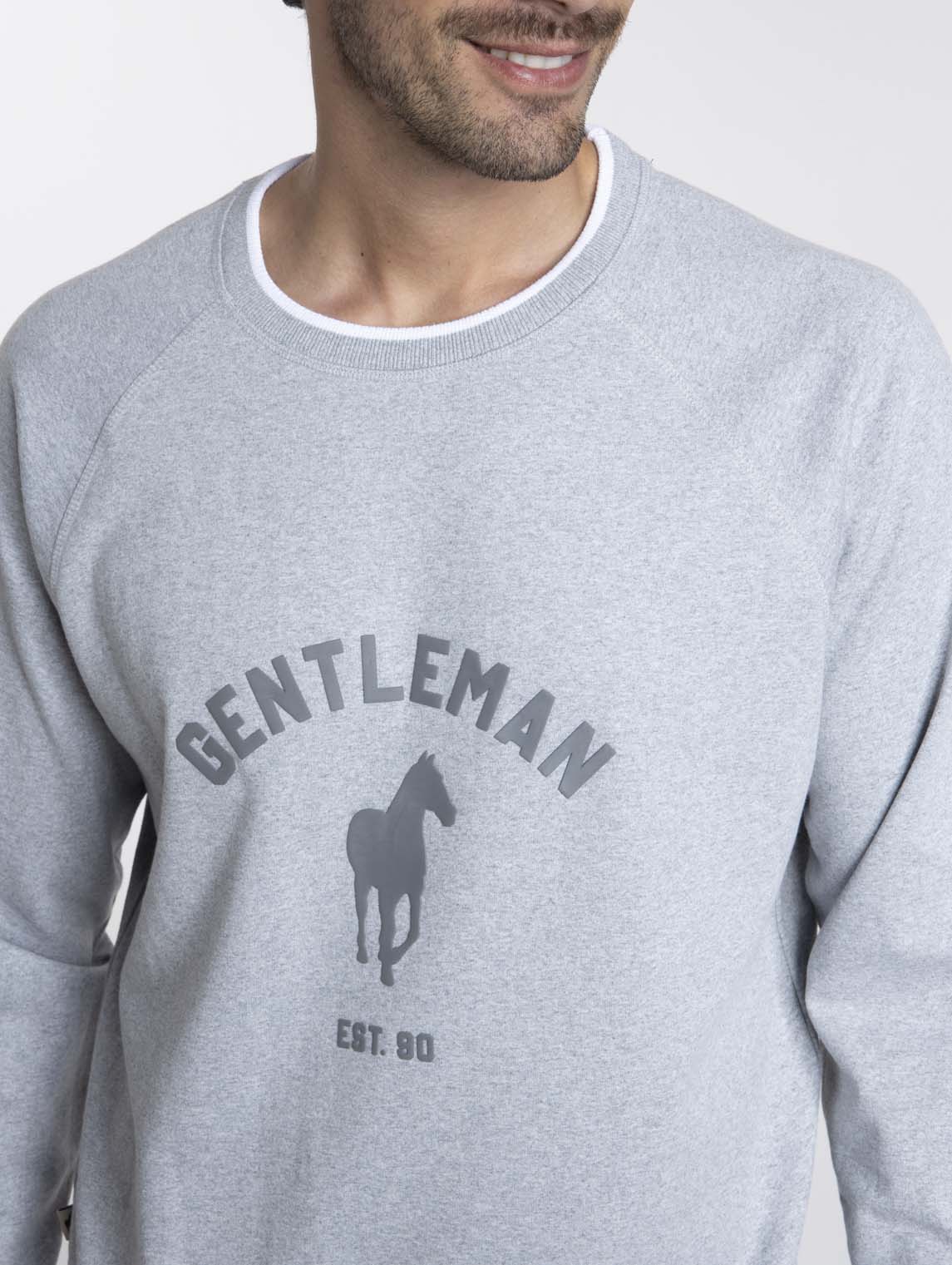 Sweat SENLIS Gris Chine