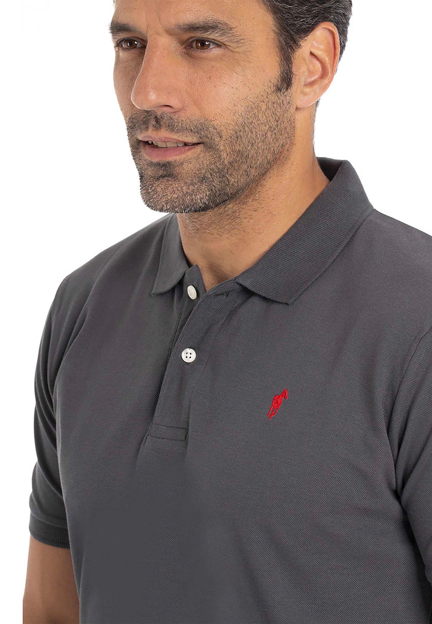 Polo OGIER Gris foncé