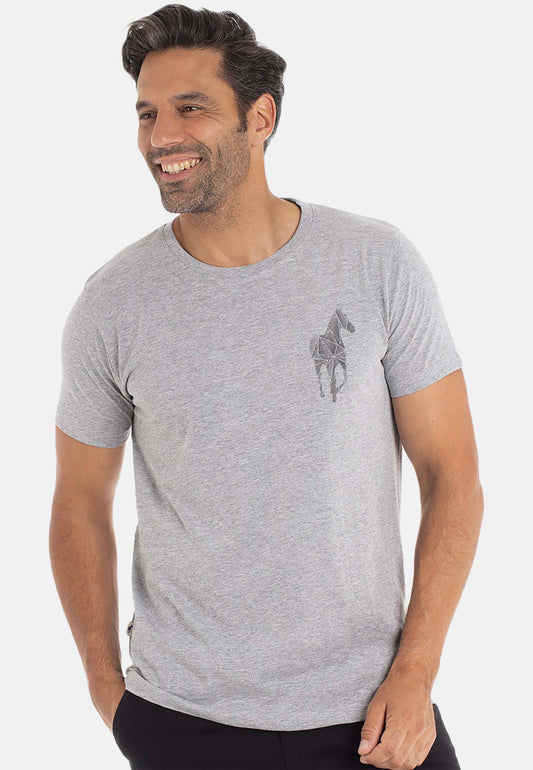 T-shirt TAHO Gris clair