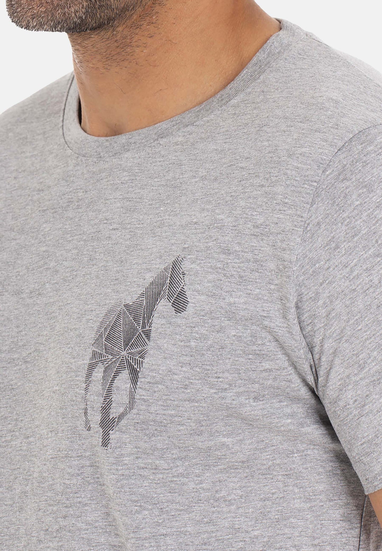 T-shirt TAHO Gris clair