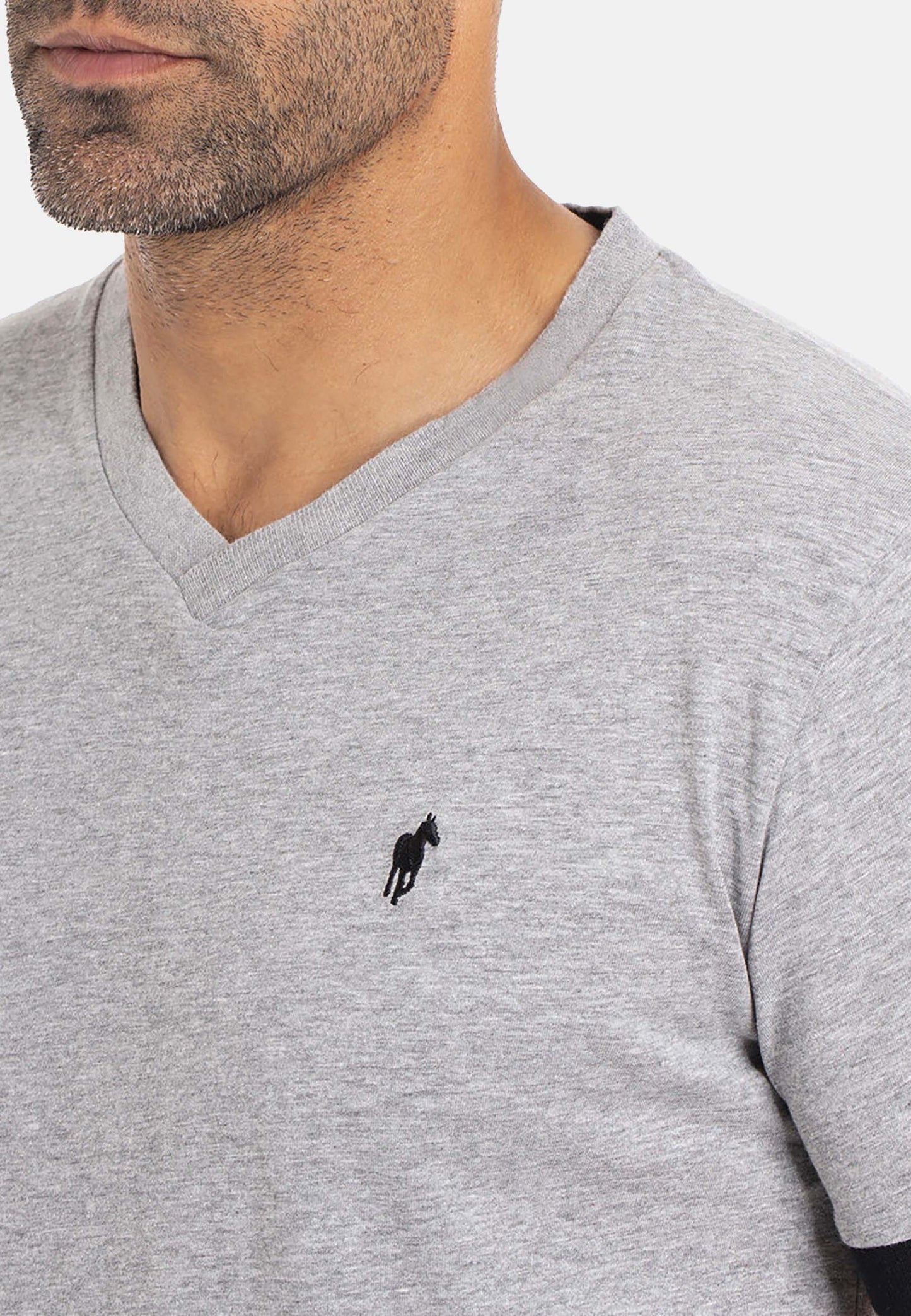 T-shirt TAYRON Gris clair